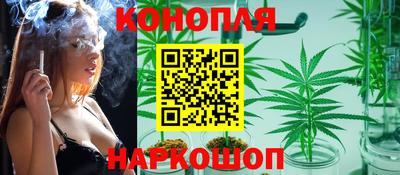 spice Моздок