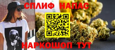spice Моздок