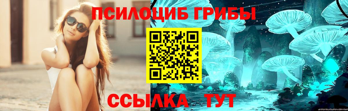 Соликамск  Галлюциногенные грибы прущие грибы  Вход с VPN  Псилоцибиновые грибы MAGIC MUSHROOMS 